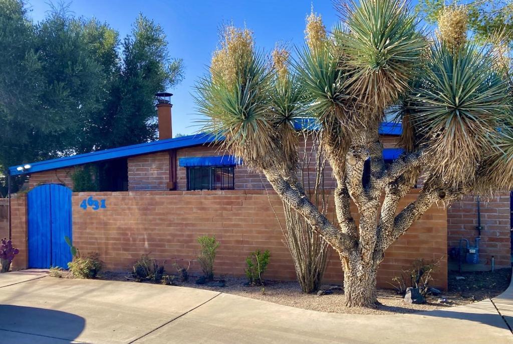 Casa Azul - Cute Centrally Located Adobe With Large Fenced Outdoor Living For Pets And Adults, Non-Smoking Tucson Exterior foto